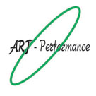 Арт-Перформенс