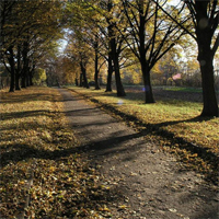 Куреневский парк