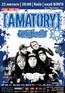 Amatory возвращаются в Киев