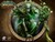 Рэйми сохранит в World of Warcraft дух оригинальной игры