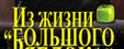Из жизни «Большого Яблока»