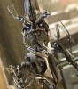 На съемках «Трансформеров-3» ранен человек