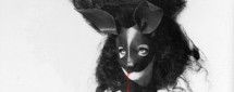 Ball Masque