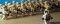 March in Party Room
