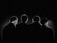 Фотографии с первого концерта Beatles в США выставят на аукционе Christie's