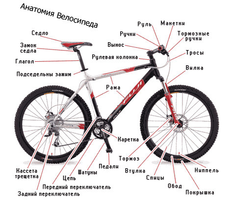 Анатомия Велосипеда