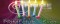 PRIME CLUB - 5 years!, Birthday party