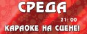 вечеринка Караоке на сцене