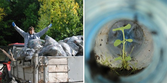 Обзор 3 экологических организаций Киева
