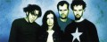 Guano Apes в Stereo Plaza