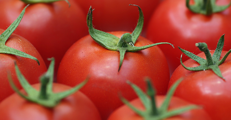 Есть или не есть: развенчиваем мифы о кетчупе
