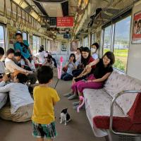Пушистый рейс: в Японии запустили поезд с котами