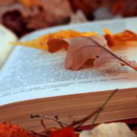 Домашнее чтение: 15 новых книг, которые нужны вам этой осенью