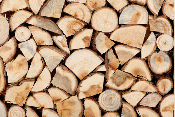 Навалом или складометрамы: как лучше покупать дрова