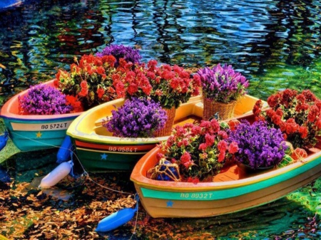 Разноцветная лодка с веслами