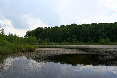 Черное озеро ульяновск фото