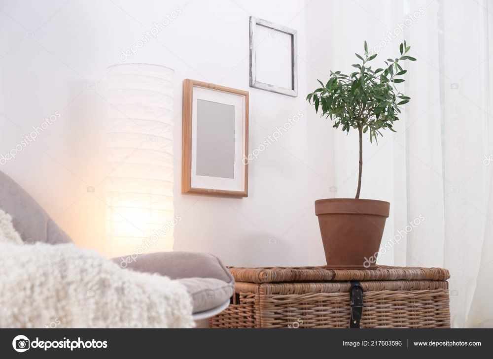 Топ комнатных растений, которые помогут создать стильный акцент в интерьере фото 6