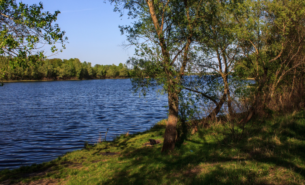 частное озеро для рыбалки в киеве