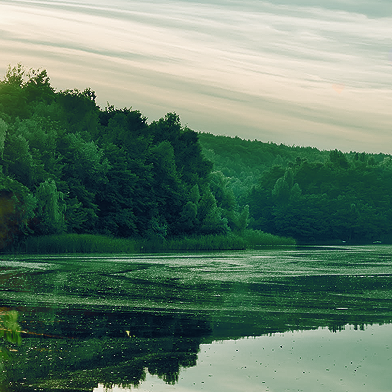 Подорожі Україною: куди поїхати киянину на свято Івана Купала та на вихідні
