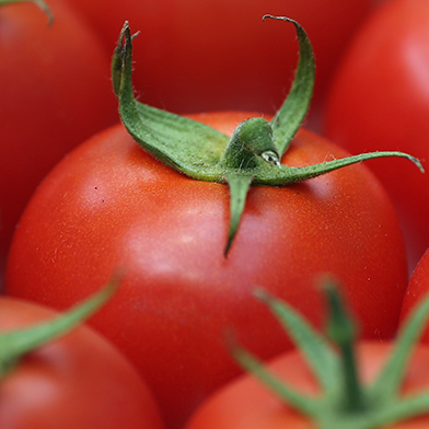 Есть или не есть: развенчиваем мифы о кетчупе