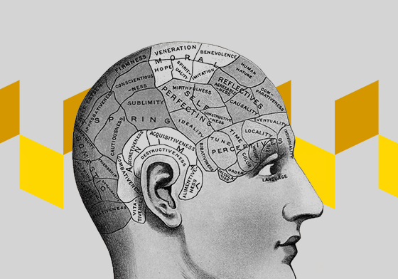 Шевели мозгами: лучшие образовательные мероприятия июня