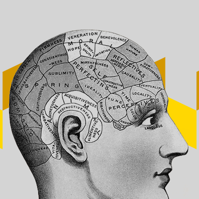 Шевели мозгами: лучшие образовательные мероприятия июня