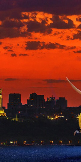 City of free stars: бесплатные события в Киеве до конца лета