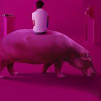 Смотреть на выходных с попкорном: 10 комедий этого года