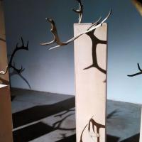 ART октябрь: рейтинг выставок месяца по нестандартным признакам