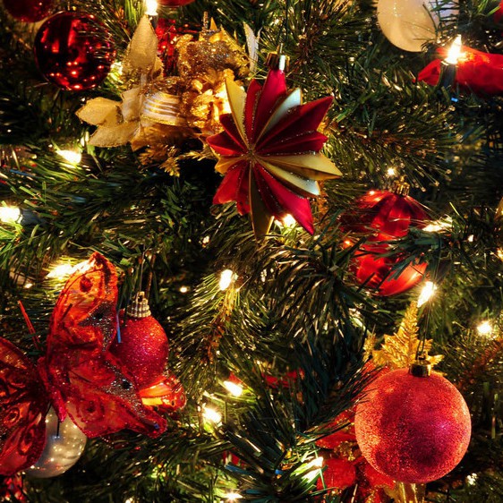 Самые красивые новогодние елки Украины. Фото