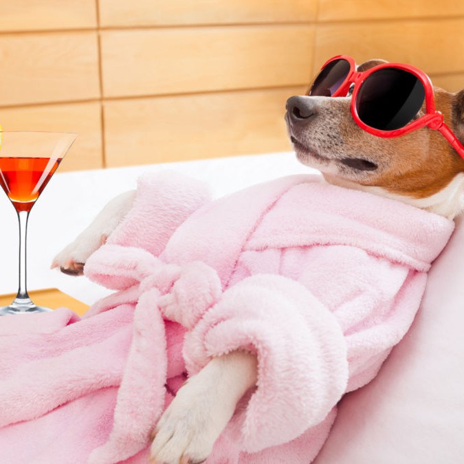 Мэр Боярки стал «лицом» рекламы халатов. Фото