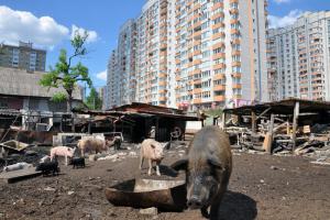 Хватит это терпеть: 7 типов киевлян, которые портят город