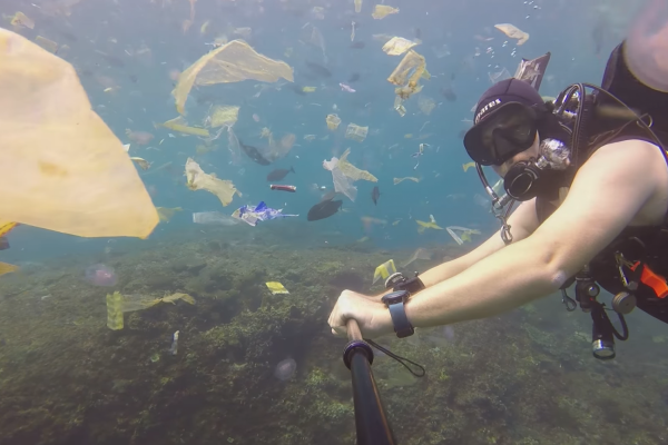 Видео дня: водолаз заснял тонны пластика под водой у берегов Бали
