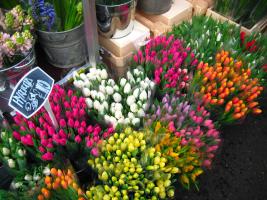 Цветочный бизнес в Украине: как все устроено и сколько на самом деле стоит букет