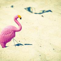 Смерть от вентилятора и всемирный оргазм: 10 странных статей на Википедии