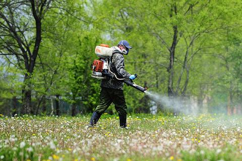 Стало известно, какие парки Киева обработаны от клещей