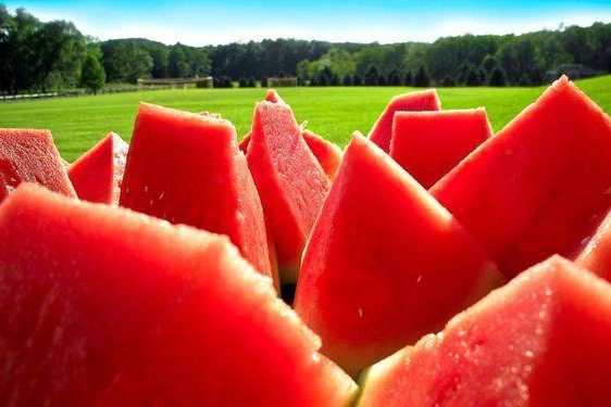 В Киев на барже отправят сладкие арбузы без косточек: когда ждать