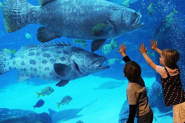 В столичном зоопарке построят большой аквариум