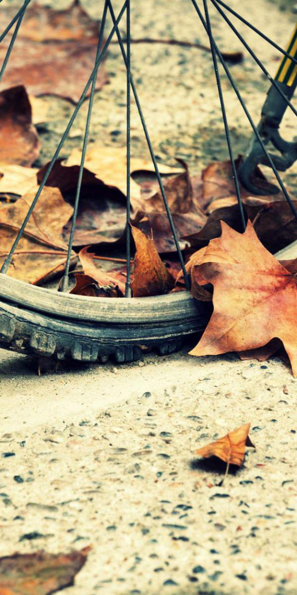 Как же я давно выходной ждал: 8 событий для идеального уик-энда в Киеве