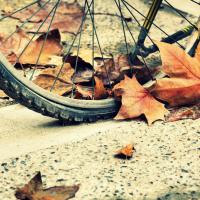 Как же я давно выходной ждал: 8 событий для идеального уик-энда в Киеве