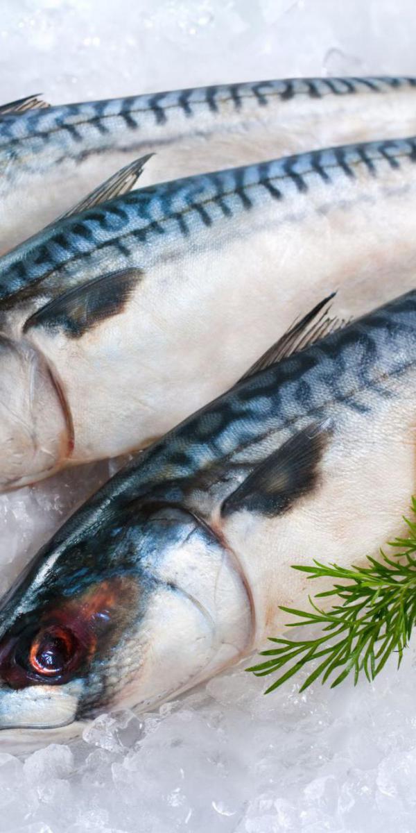 На Подоле открылась селедочная