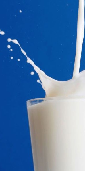 Новый продукт: ЗОЖ-секрет от 