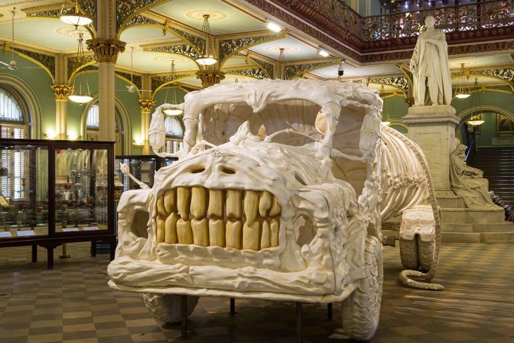 В какие музеи Киева можно сходить бесплатно в декабре: список