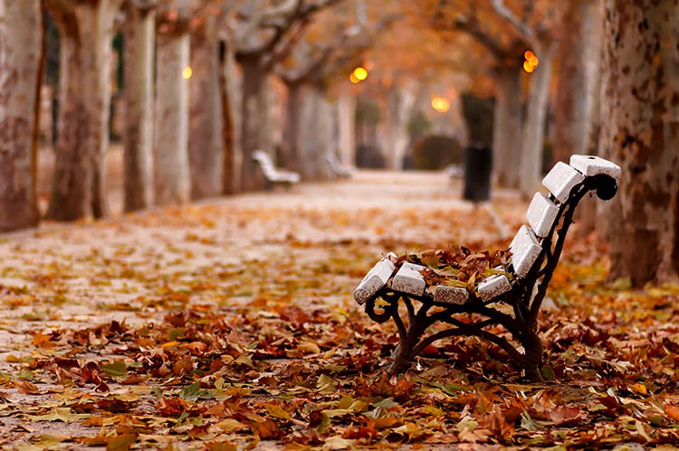 В Киеве обустроят четыре новых сквера и парк