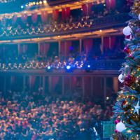 Классика, джаз и Щелкунчик. 8 концертов для новогоднего настроения