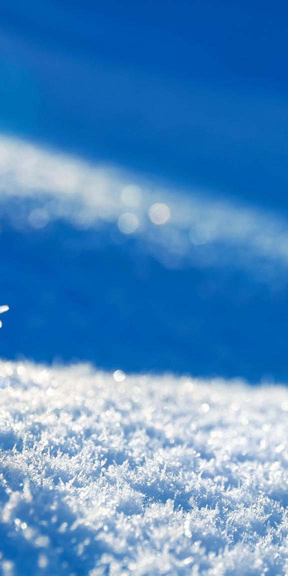 Как выглядят первые в мире микро-фотографии снежинок