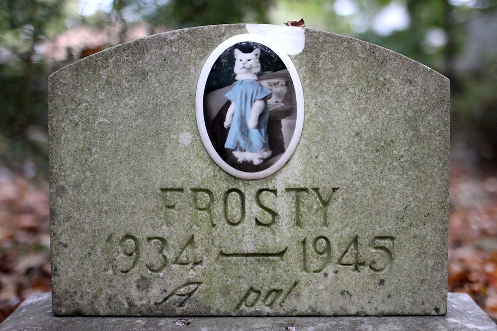 В Киеве появится кладбище домашних животных