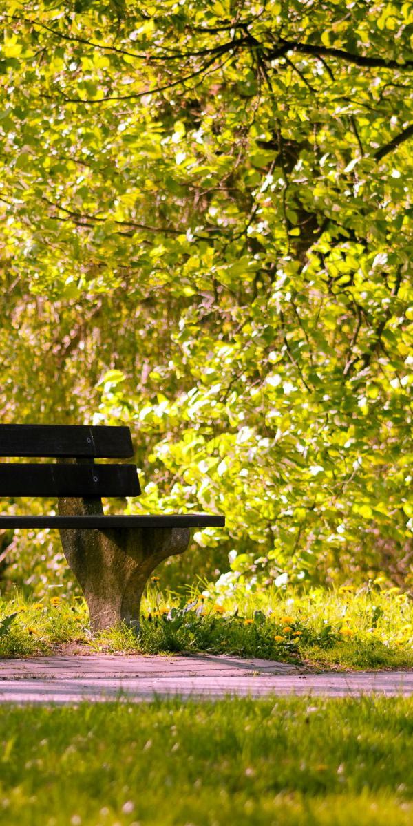 На Оболони появится новый парк «Почайна». Фото