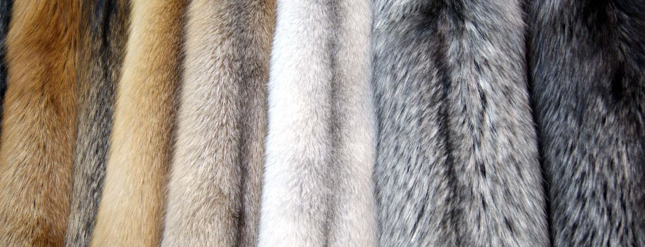 Украинцы по всей стране выйдут на акцию протеста против меха