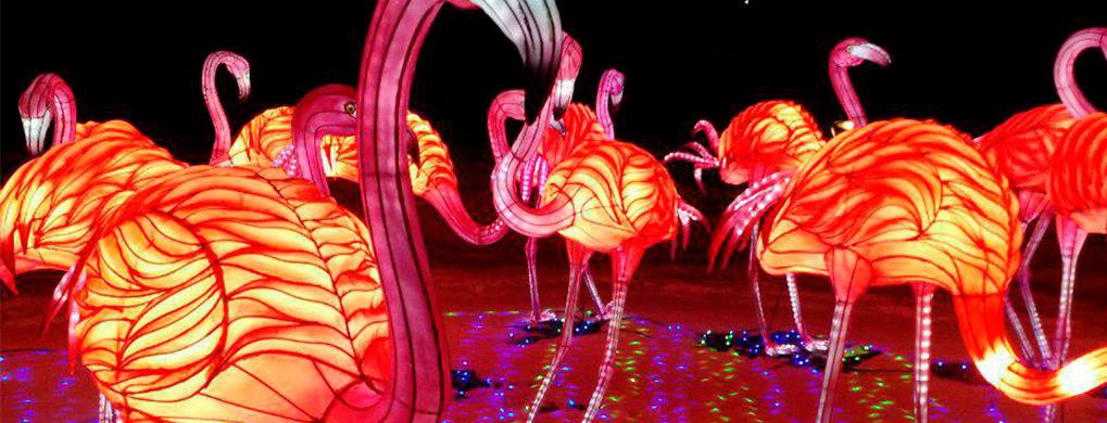 Как выглядит Фестиваль гигантских китайских фонарей в Киеве. Фото